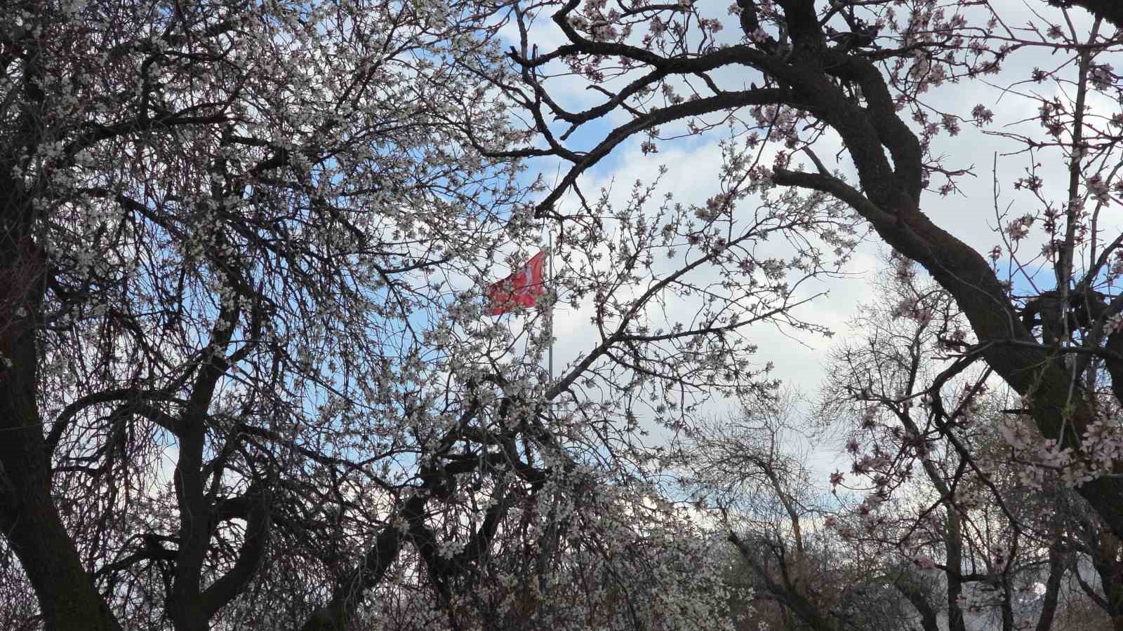 Akdamar Adası’nda 23 Nisan yoğunluğu
