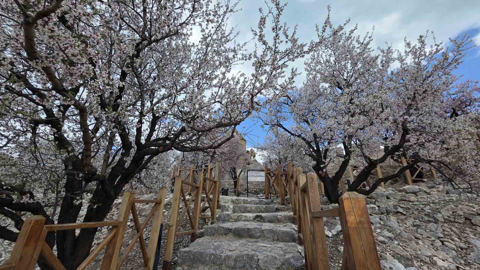 Akdamar Adası’nda 23 Nisan yoğunluğu
