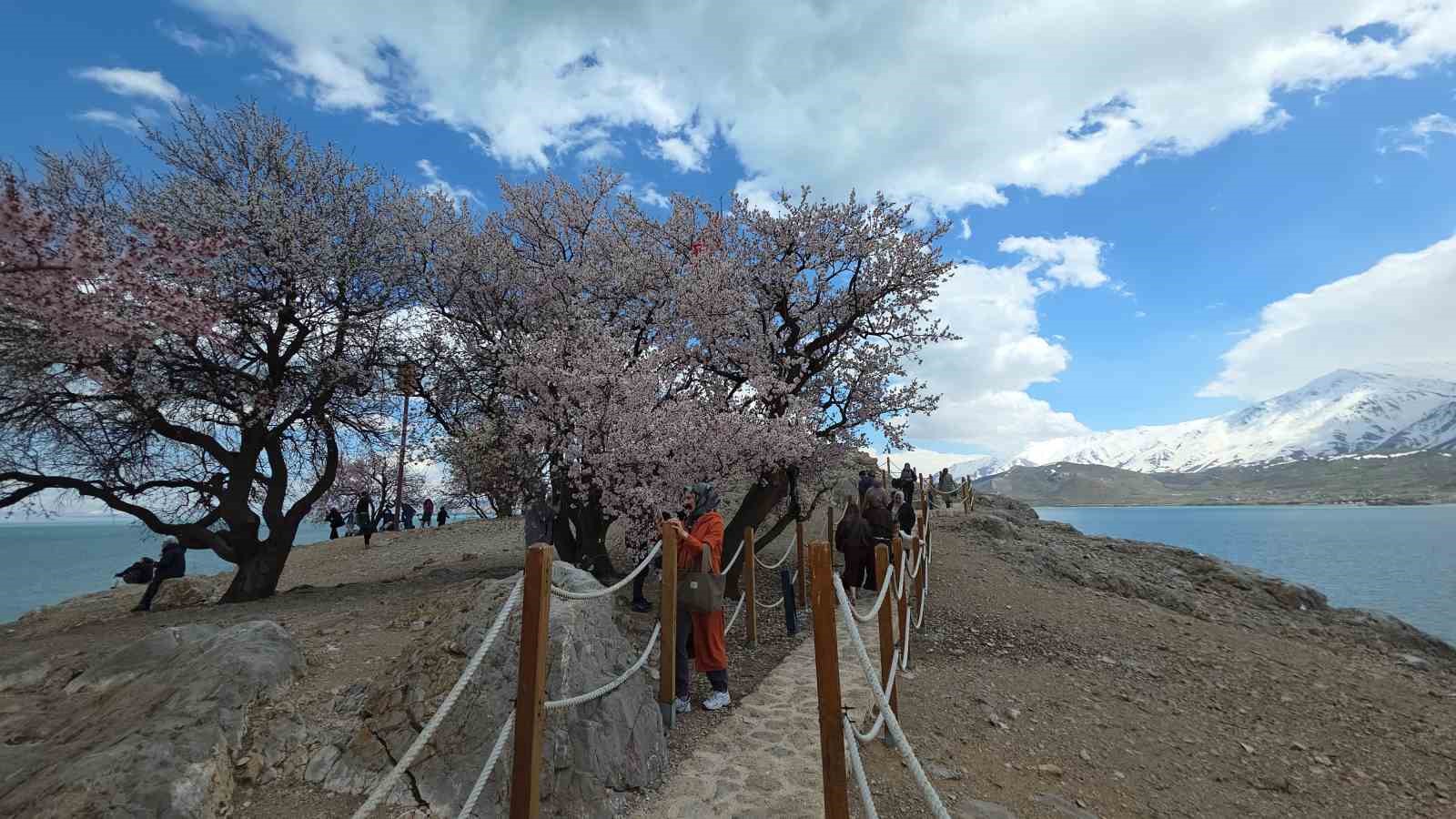 Akdamar Adası’nda renk cümbüşü
