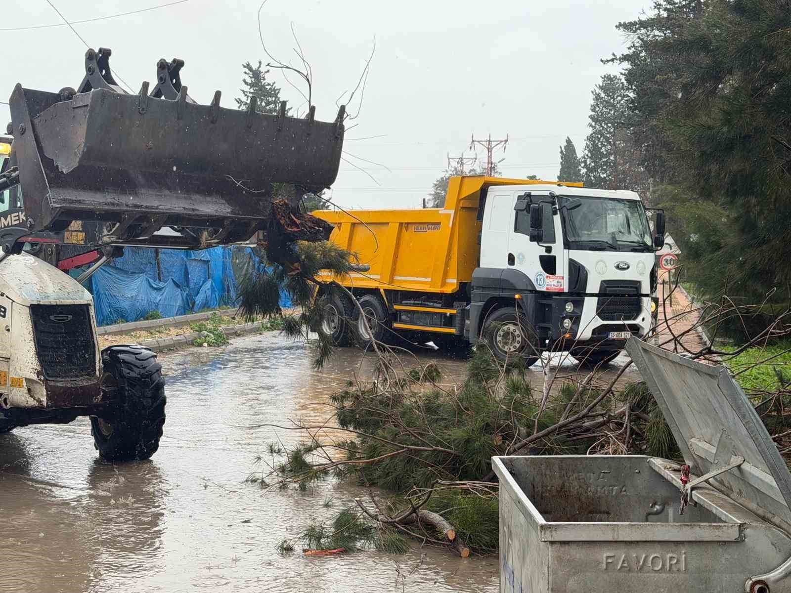 Akdeniz’de fırtına sonrası belediye ekipleri teyakkuzda
Akdeniz’de fırtına sonrası belediye ekipleri teyakkuzda