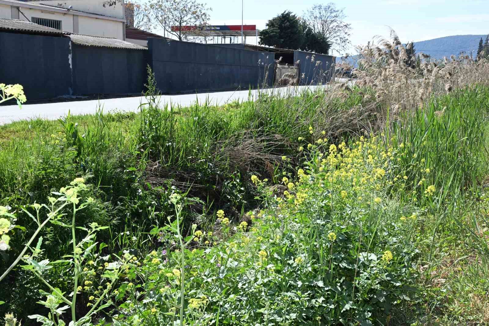 Akhisar’da 5 kilometrelik dere hattı temizleniyor
