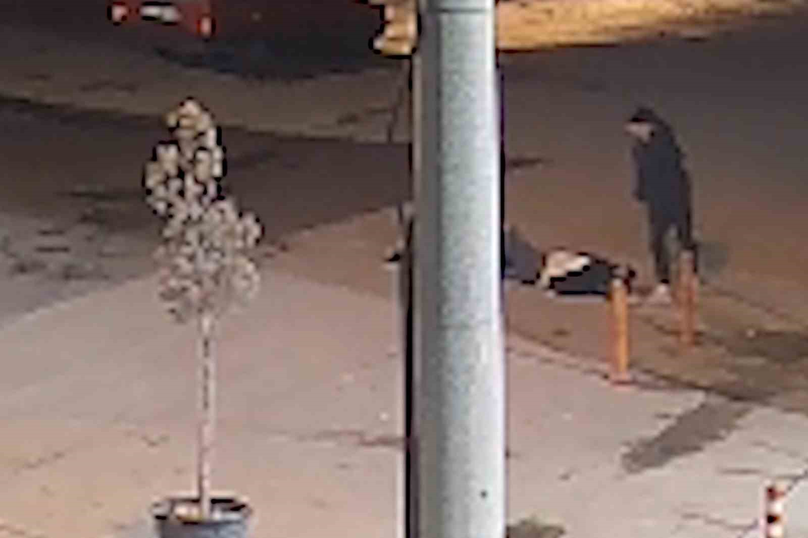 Akrabalar arasında silahlı kavga kamerada: Yeğenini vurdu, ardından kazara kendisini yaraladı
