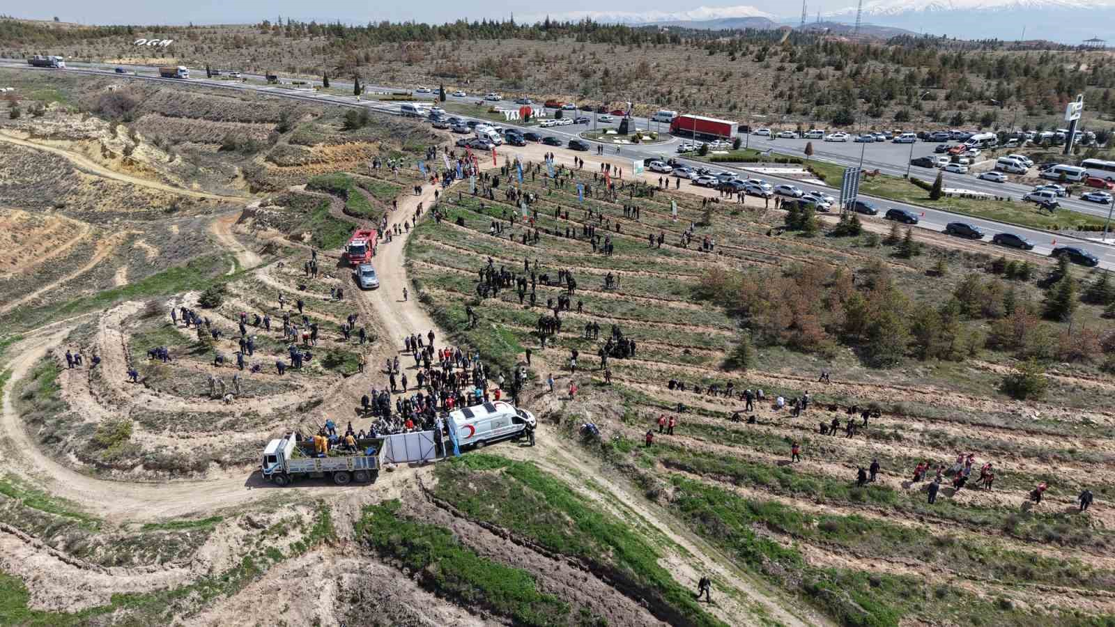 Aksaray’ın Mehmetçik Hatıra Ormanı’nda 2 bin 500 fidan toprakla buluşturuldu
