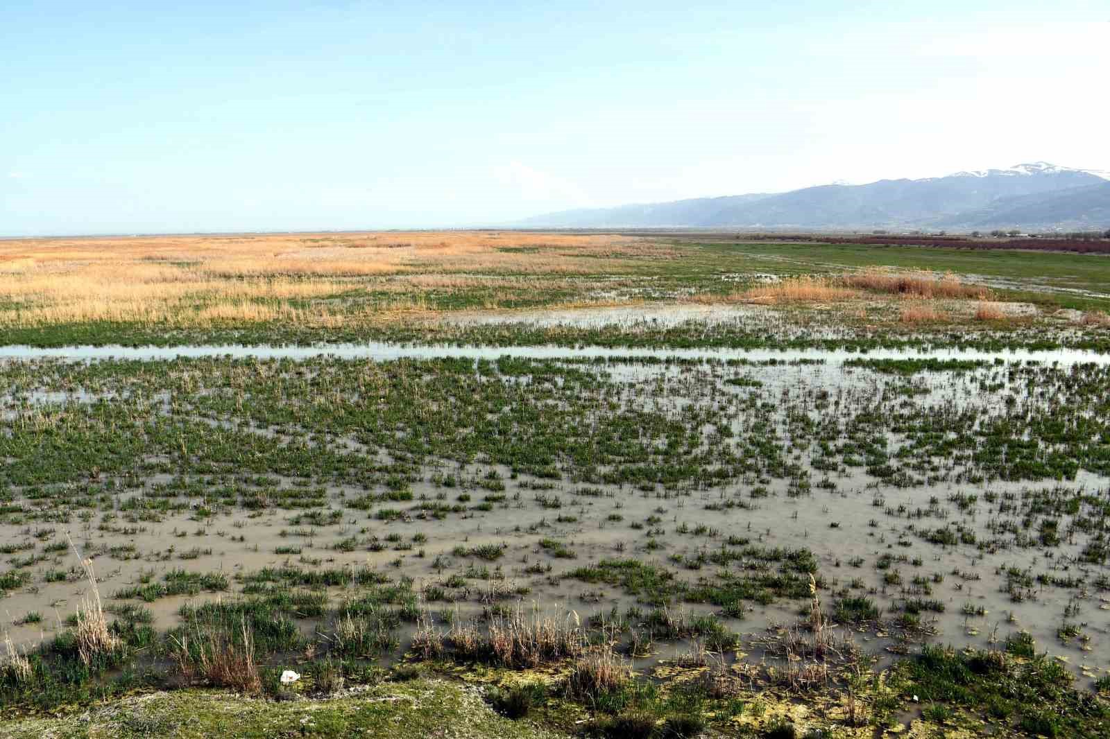 Akşehir Gölü 8 yıl aradan sonra su tutmaya başladı
