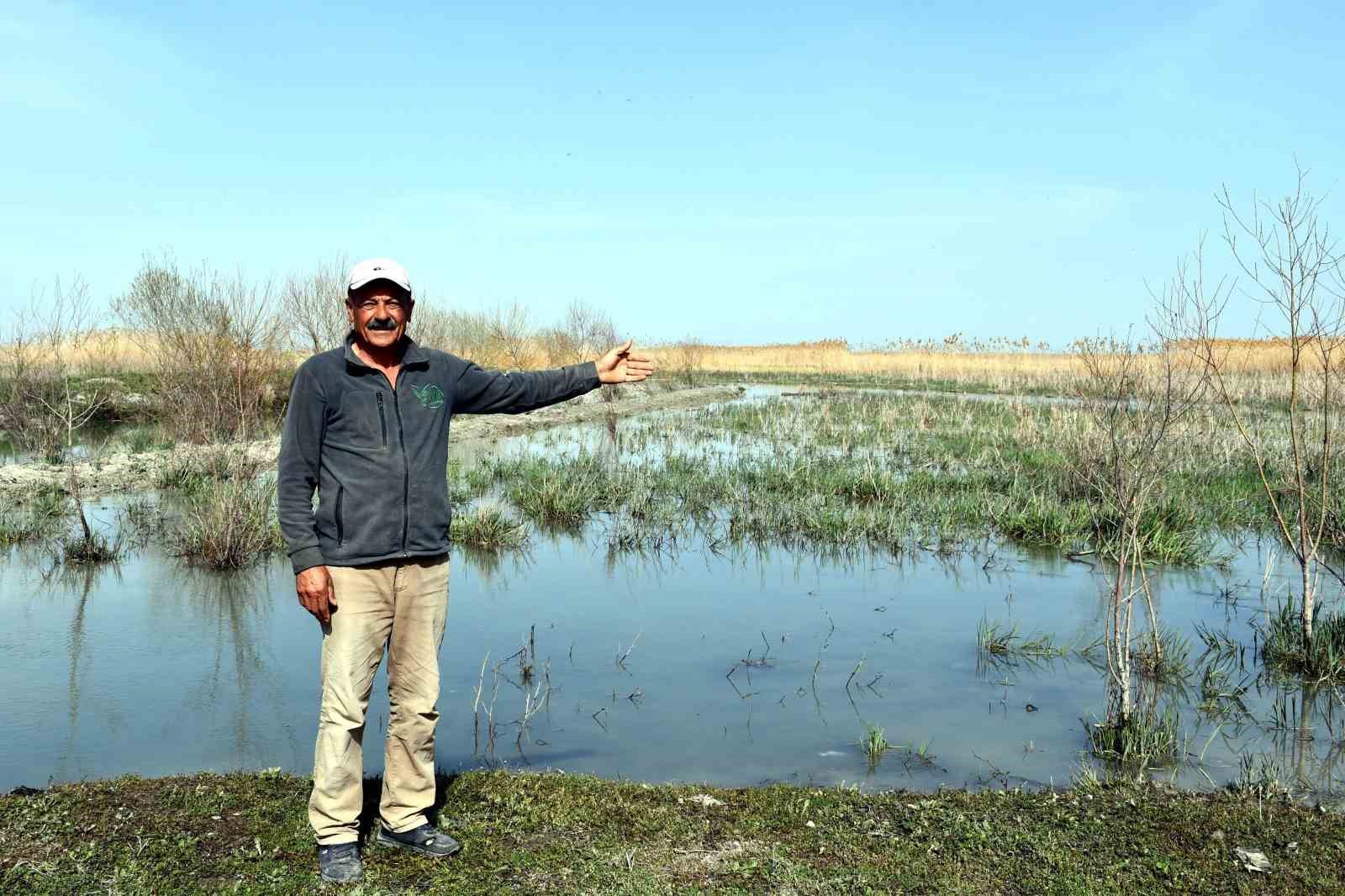 Akşehir Gölü 8 yıl aradan sonra su tutmaya başladı
