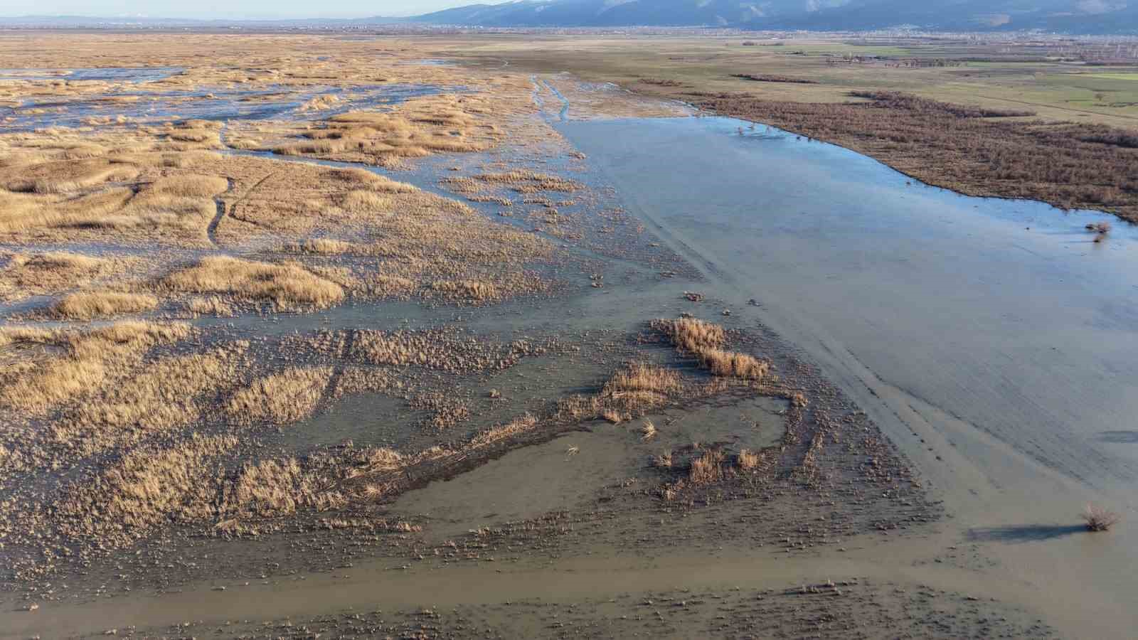 Akşehir Gölü’nde yıllardır görülmeyen oldu
Akşehir Gölü’nde yıllardır görülmeyen oldu