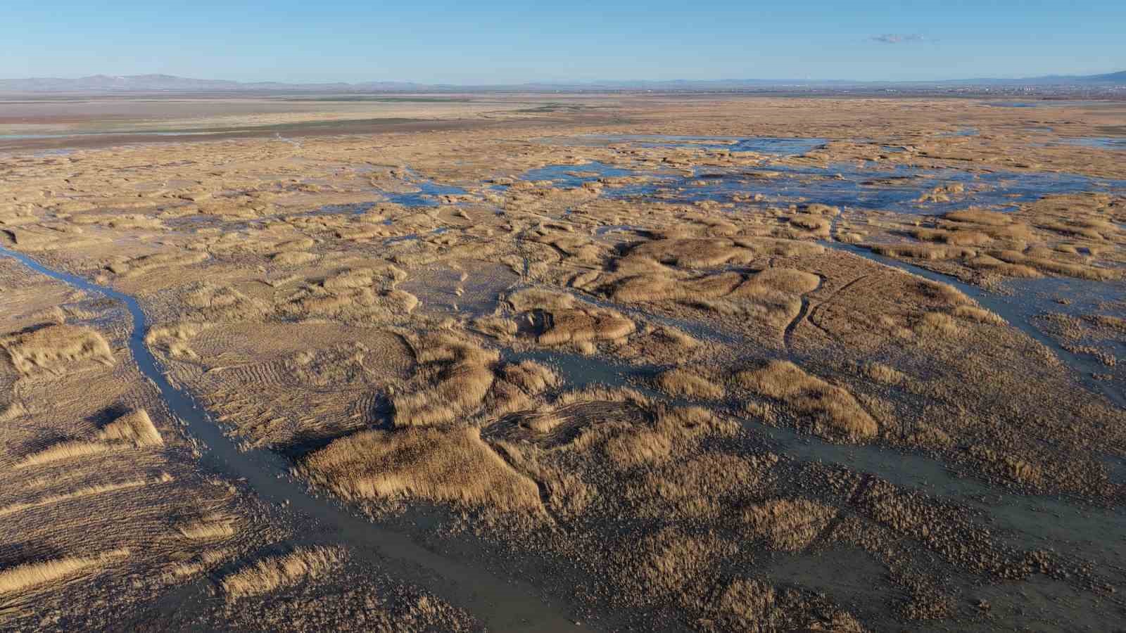 Akşehir Gölü’nde yıllardır görülmeyen oldu
Akşehir Gölü’nde yıllardır görülmeyen oldu