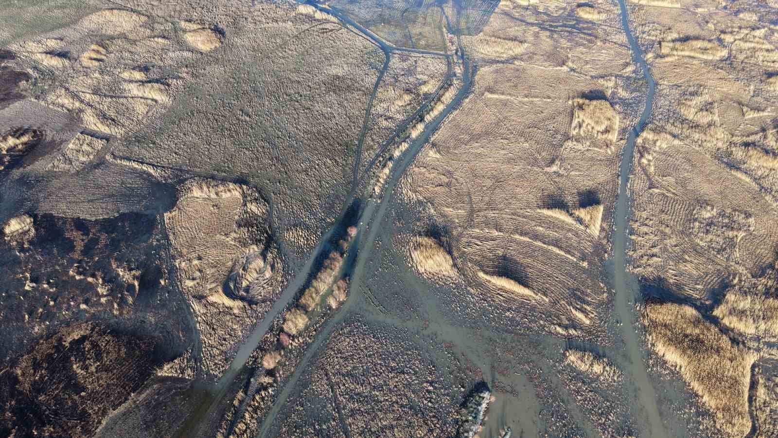 Akşehir Gölü’nde yıllardır görülmeyen oldu
Akşehir Gölü’nde yıllardır görülmeyen oldu