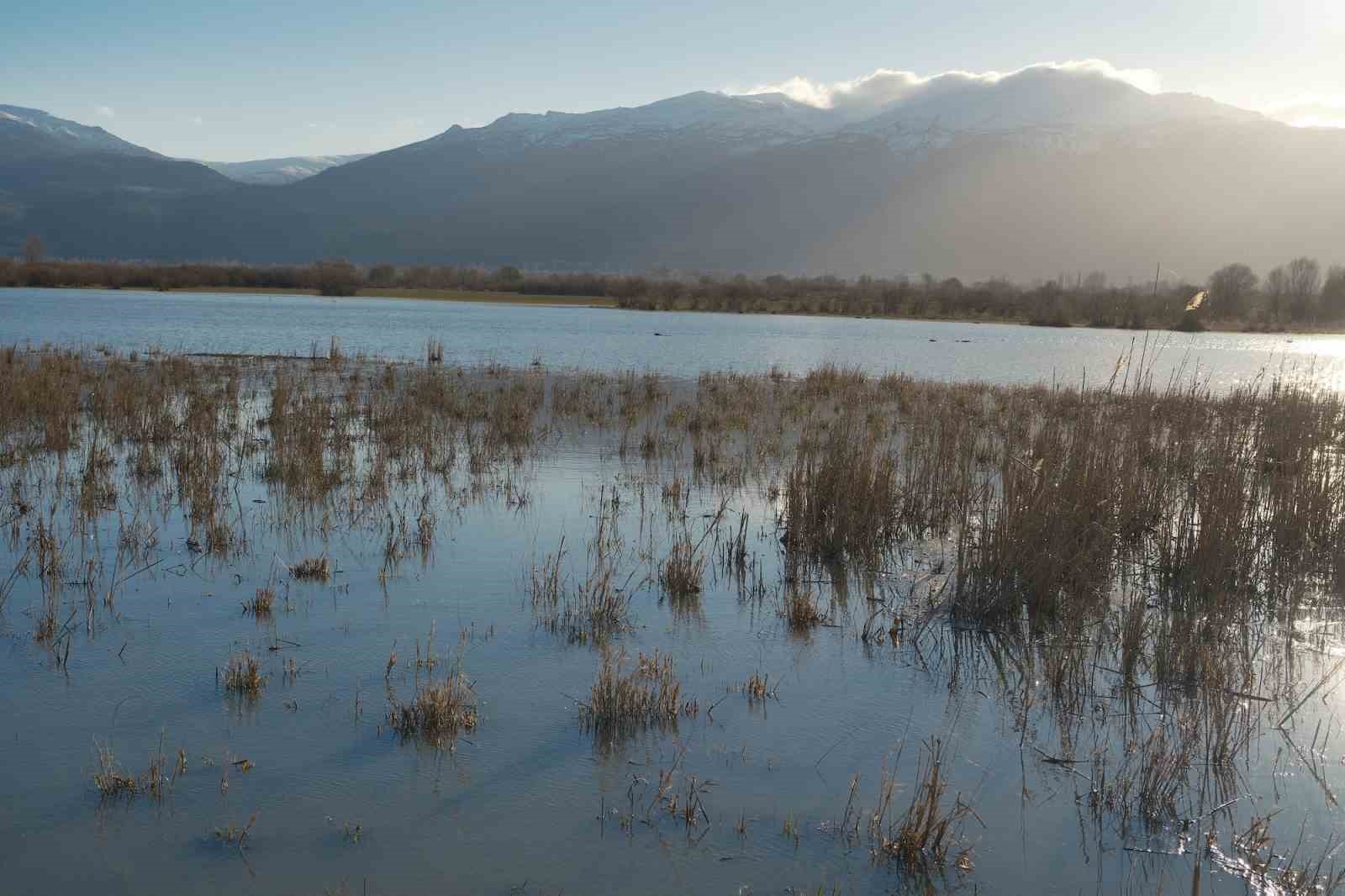 Akşehir Gölü’nde yıllardır görülmeyen oldu
Akşehir Gölü’nde yıllardır görülmeyen oldu
