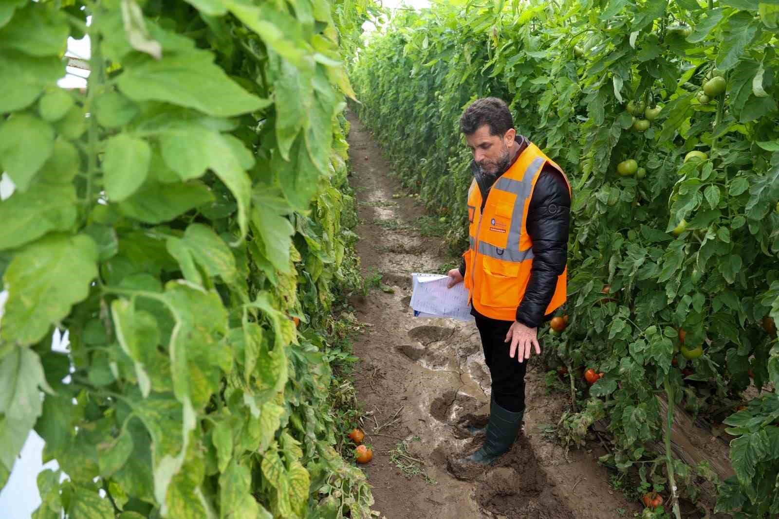 Aksu’da afetten zarar gören seralarda hasar tespiti yapıldı
