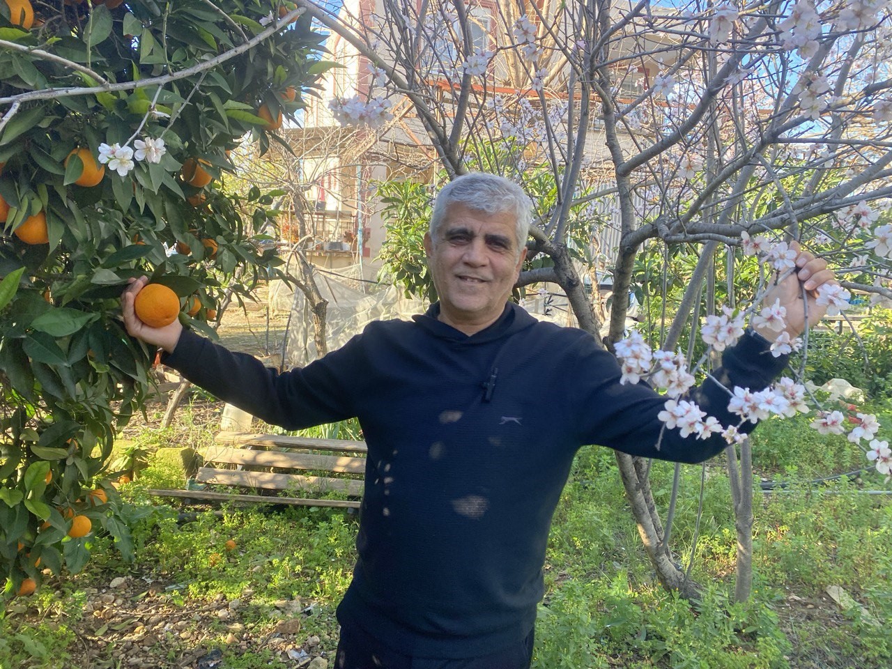 Aksu’da badem ağaçları şubat ortasında çiçek açtı
