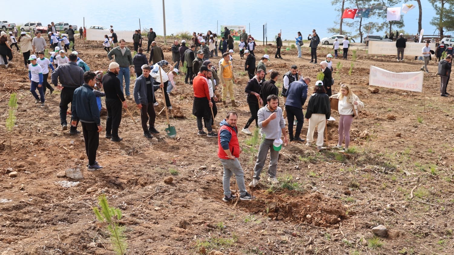 Akyaka’da yanan alan fidanlarla yeşeriyor

