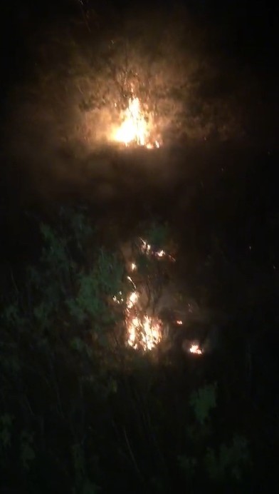 Alanya’da ormanlık alanda çıkan yangın büyümeden söndürüldü
