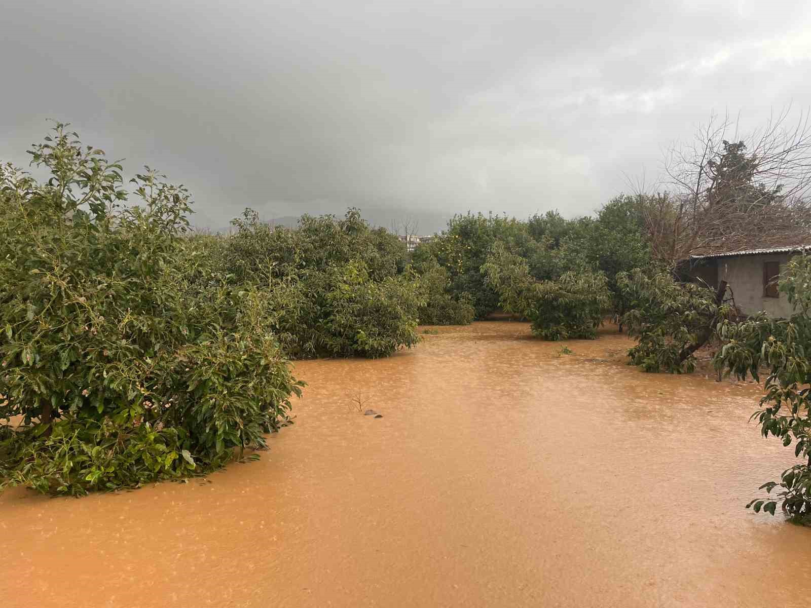 Alanya’da sağanak sebebiyle Oba Çayı taştı, binaların bahçelerini su bastı
