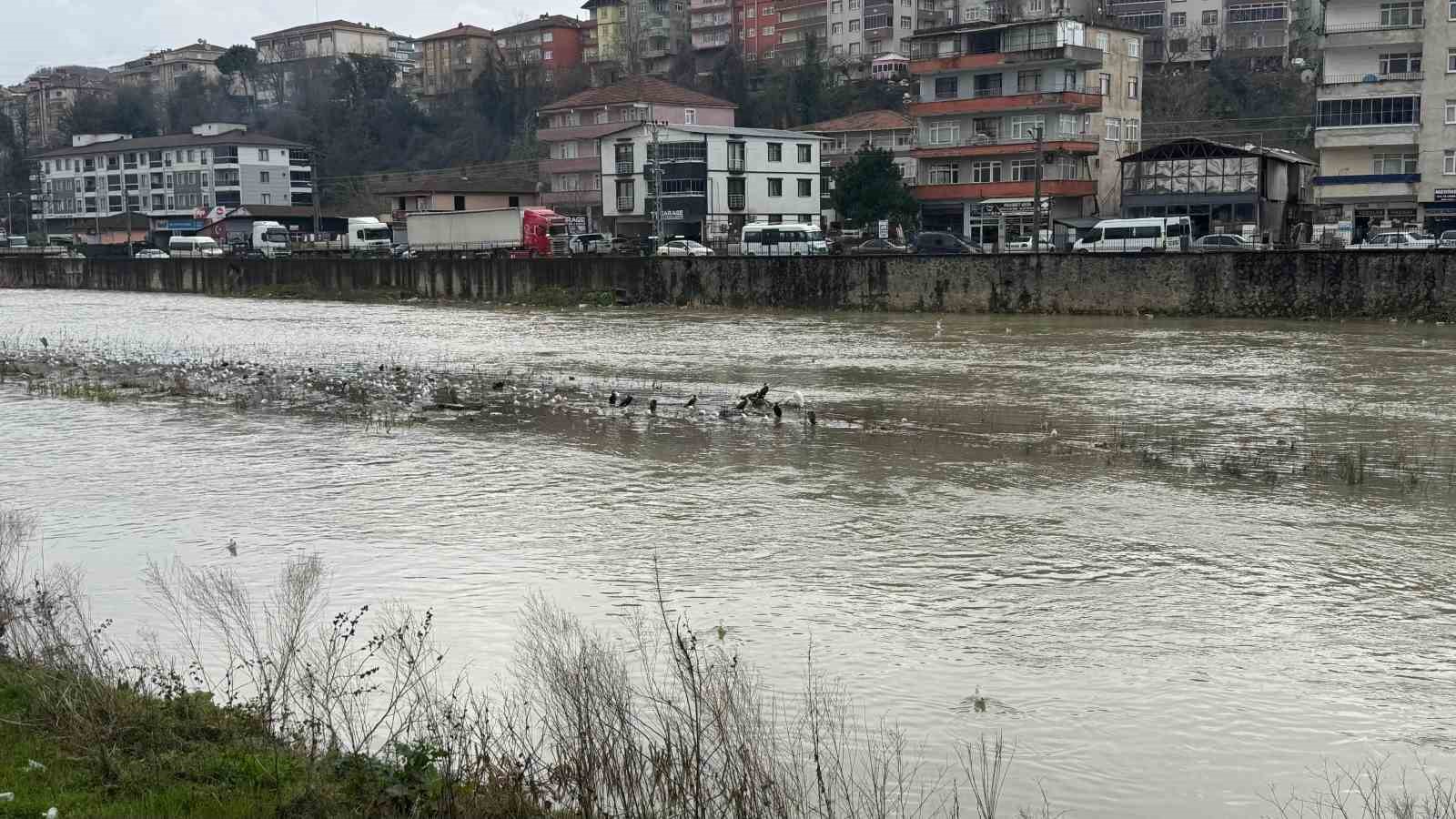 Alaplı Çayı yüzlerce kuş türüne köprü oluyor
