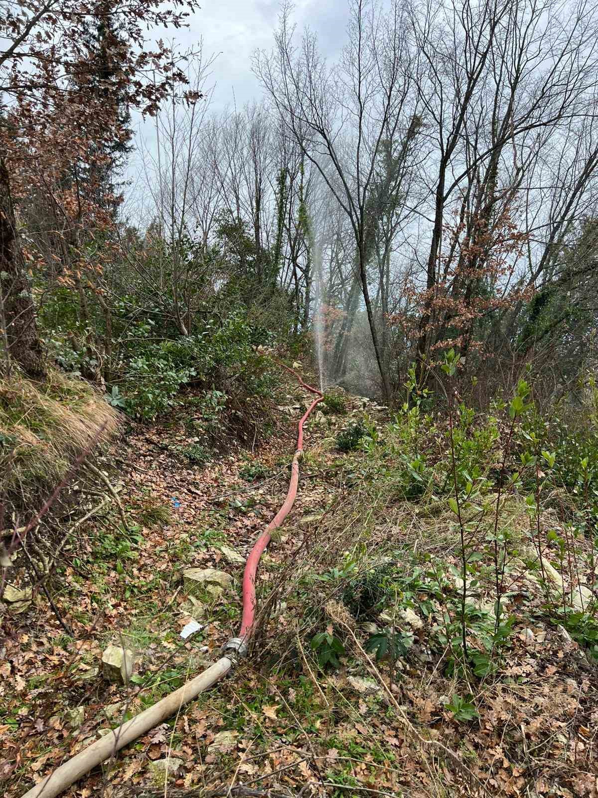 Alaplı’da dereye atılan ölü tavuklar nedeniyle 8 köy susuz kaldı
