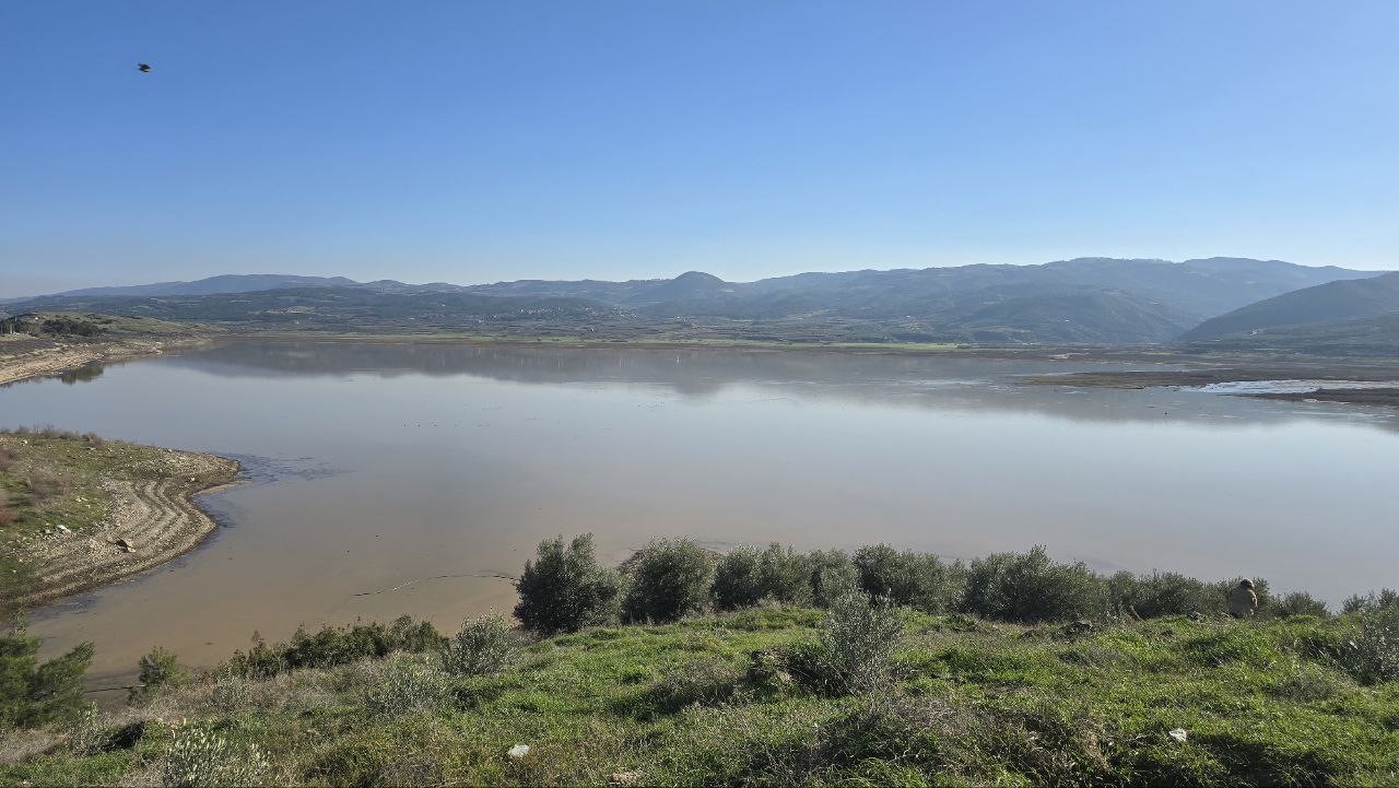 Alaşehir’de yağmur ve kar çiftçiye umut oldu
