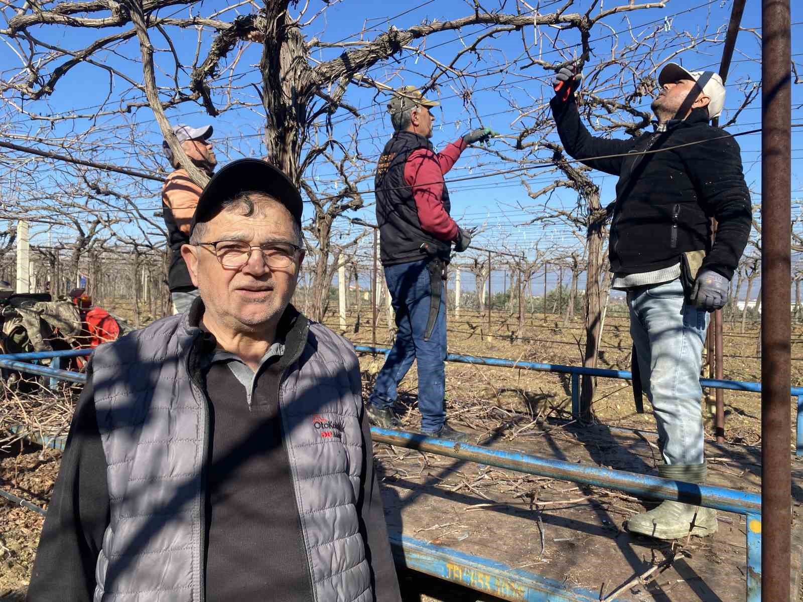 Alaşehir’de yağmur ve kar çiftçiye umut oldu
