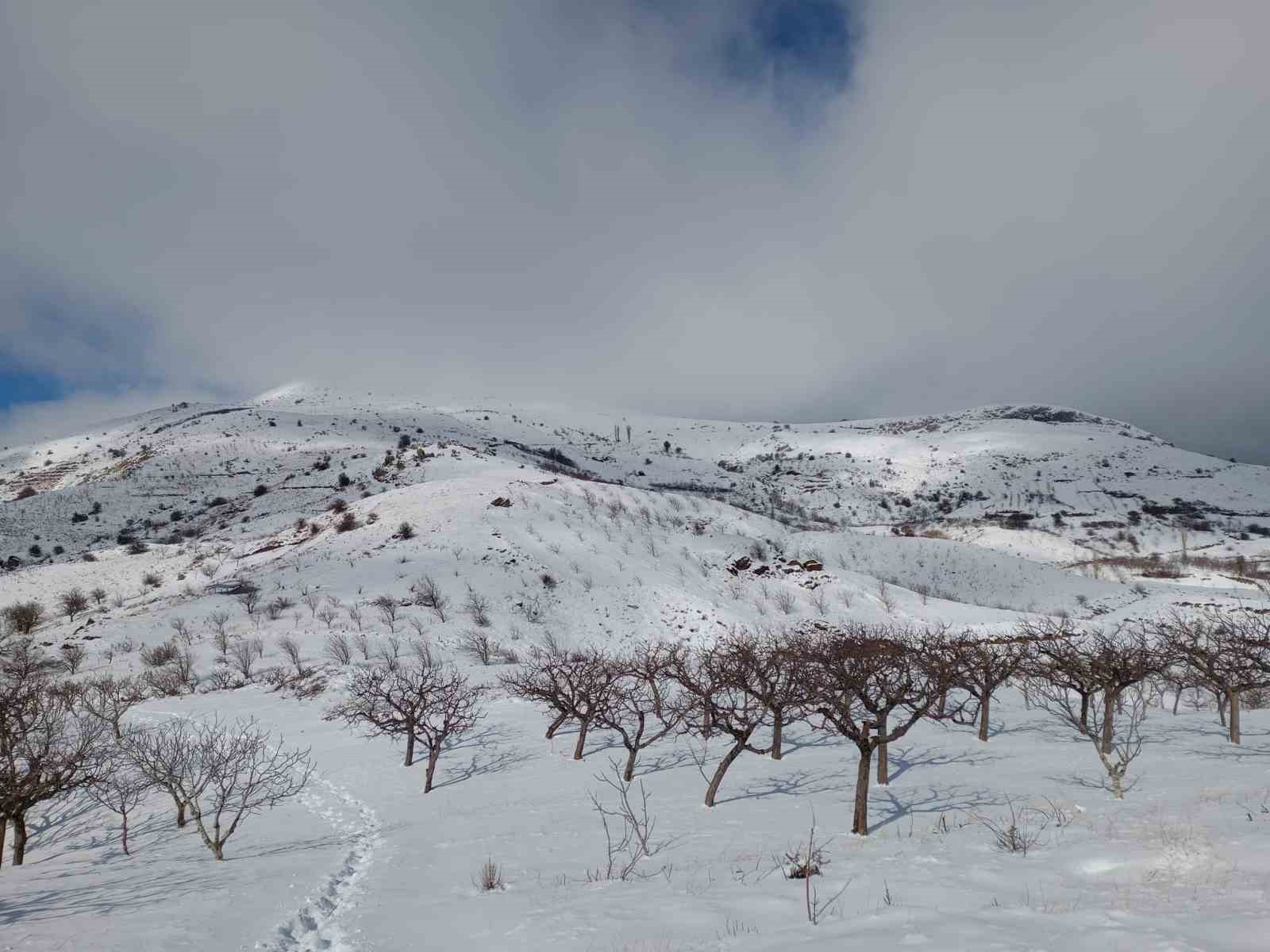 Alaşehir’de yağmur ve kar çiftçiye umut oldu
