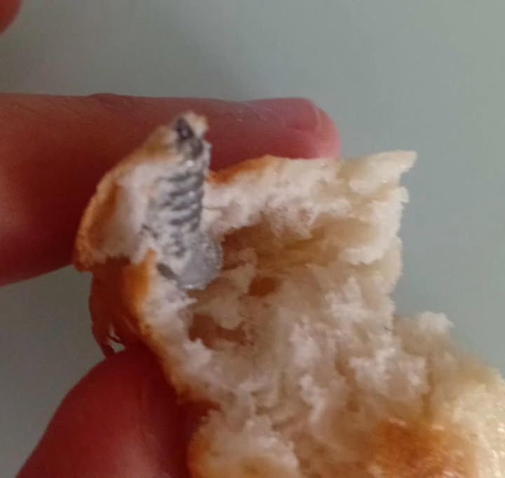 Aldığı ekmeğin içerisinden vida çıktı
