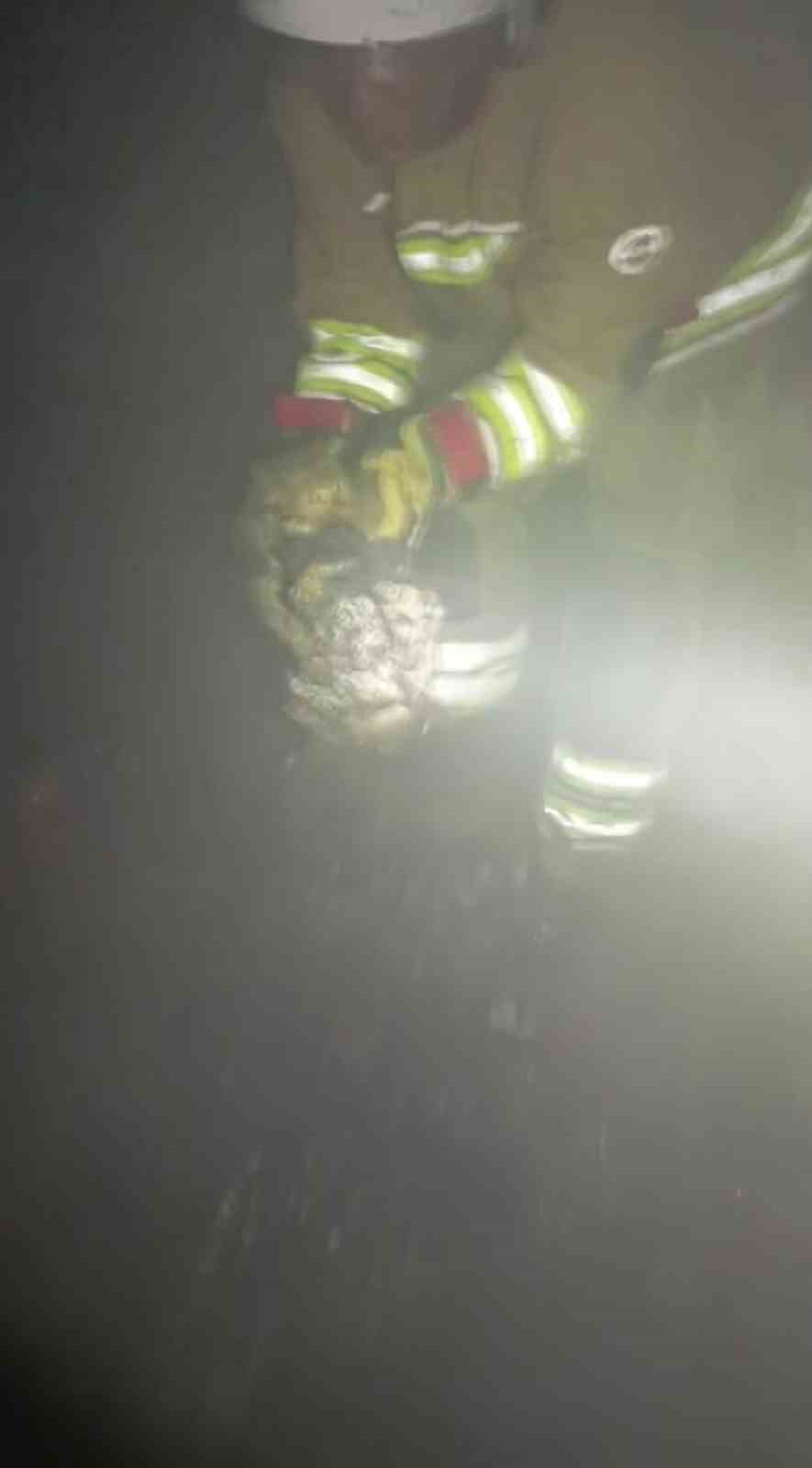 Alevlerin yükseldiği evde mahsur kalan kediyi itfaiye kurtardı
