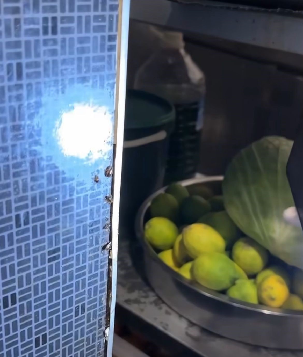 Alışveriş merkezindeki restoranlarda mide bulandıran görüntüler
