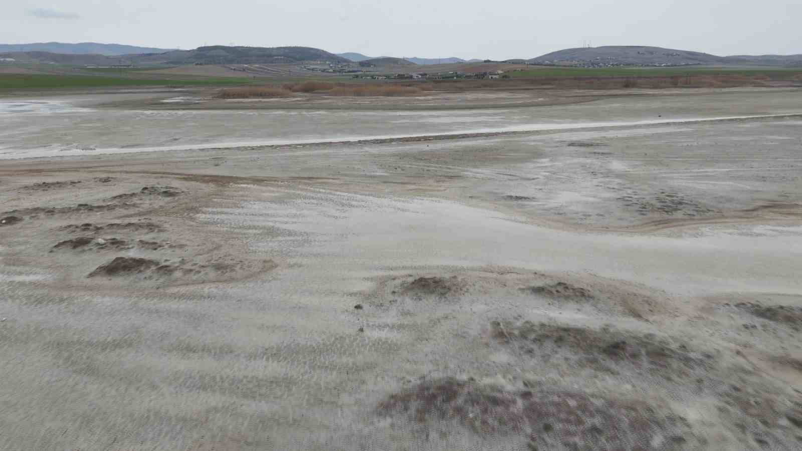 Allı turnaların yuvası yok oluyor
