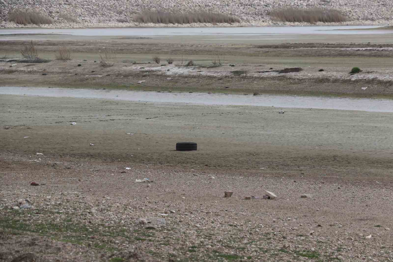 Allı turnaların yuvası yok oluyor
