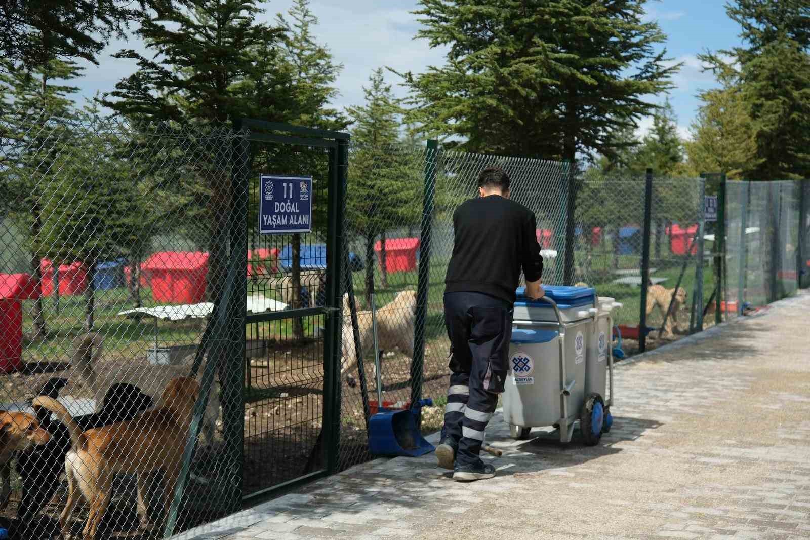 Altıeylül’de can dostlara büyük destek
