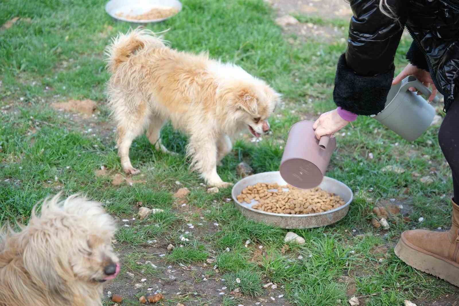 Altıeylül’de can dostlara büyük destek
