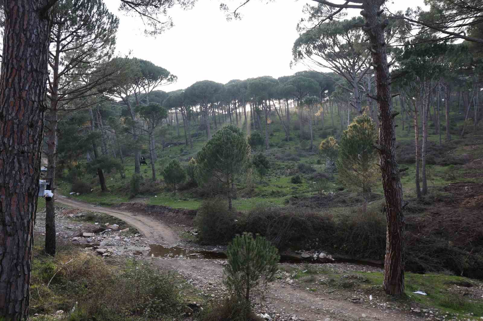 Altın değerindeki künara kameralı önlem
