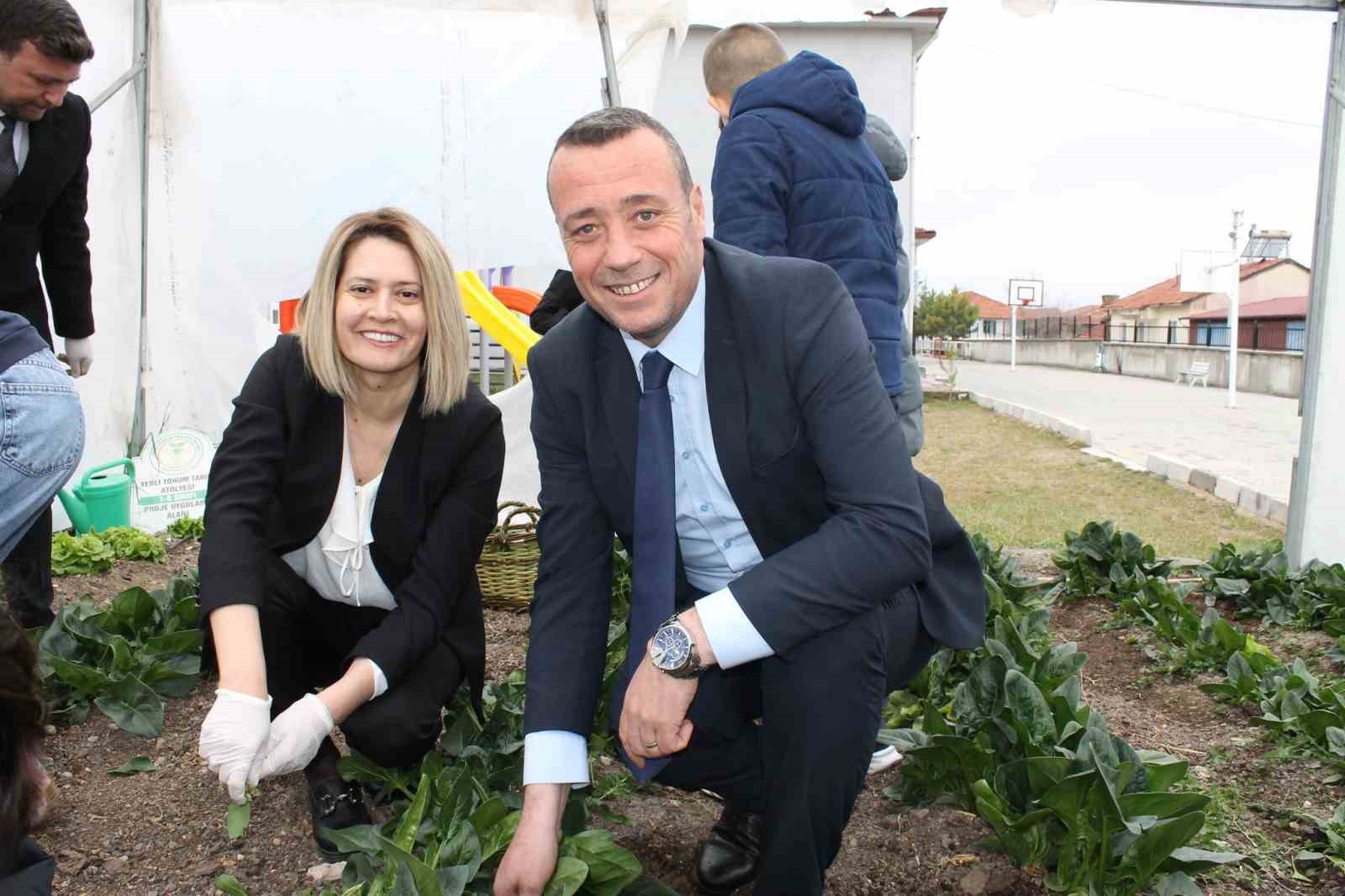 Altıntaş Zafer İlkokulu Tarım Atölyesinin ilk hasadı ıspanak oldu
