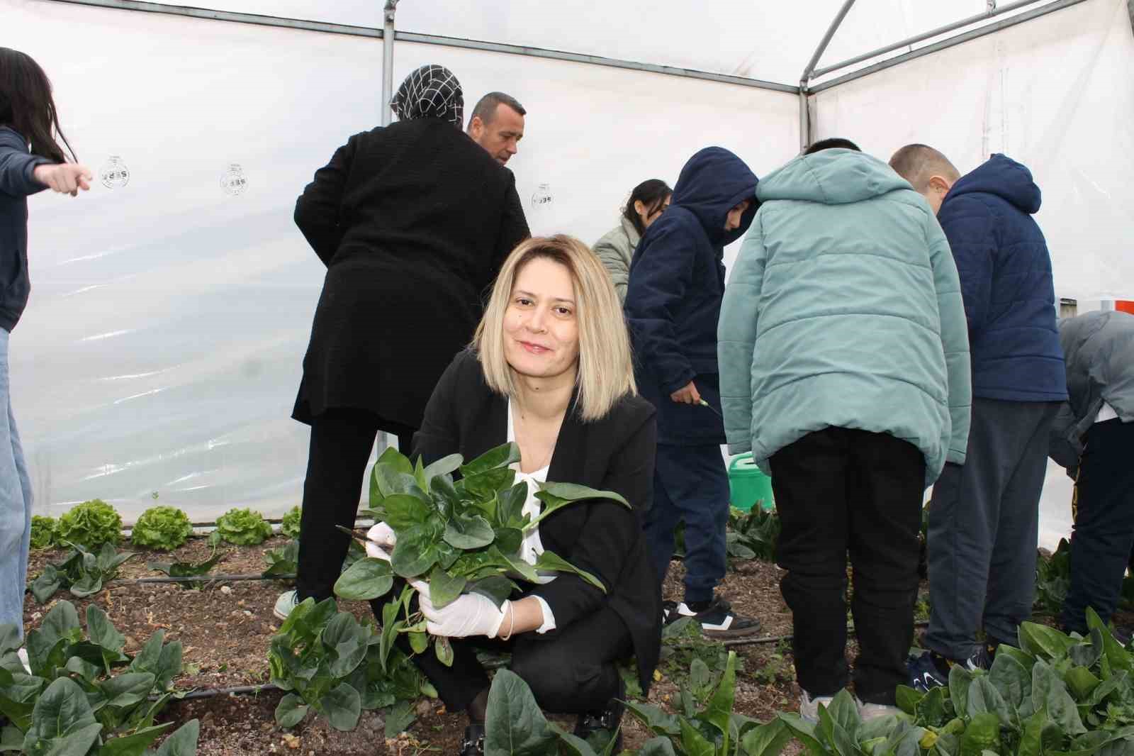 Altıntaş Zafer İlkokulu Tarım Atölyesinin ilk hasadı ıspanak oldu
