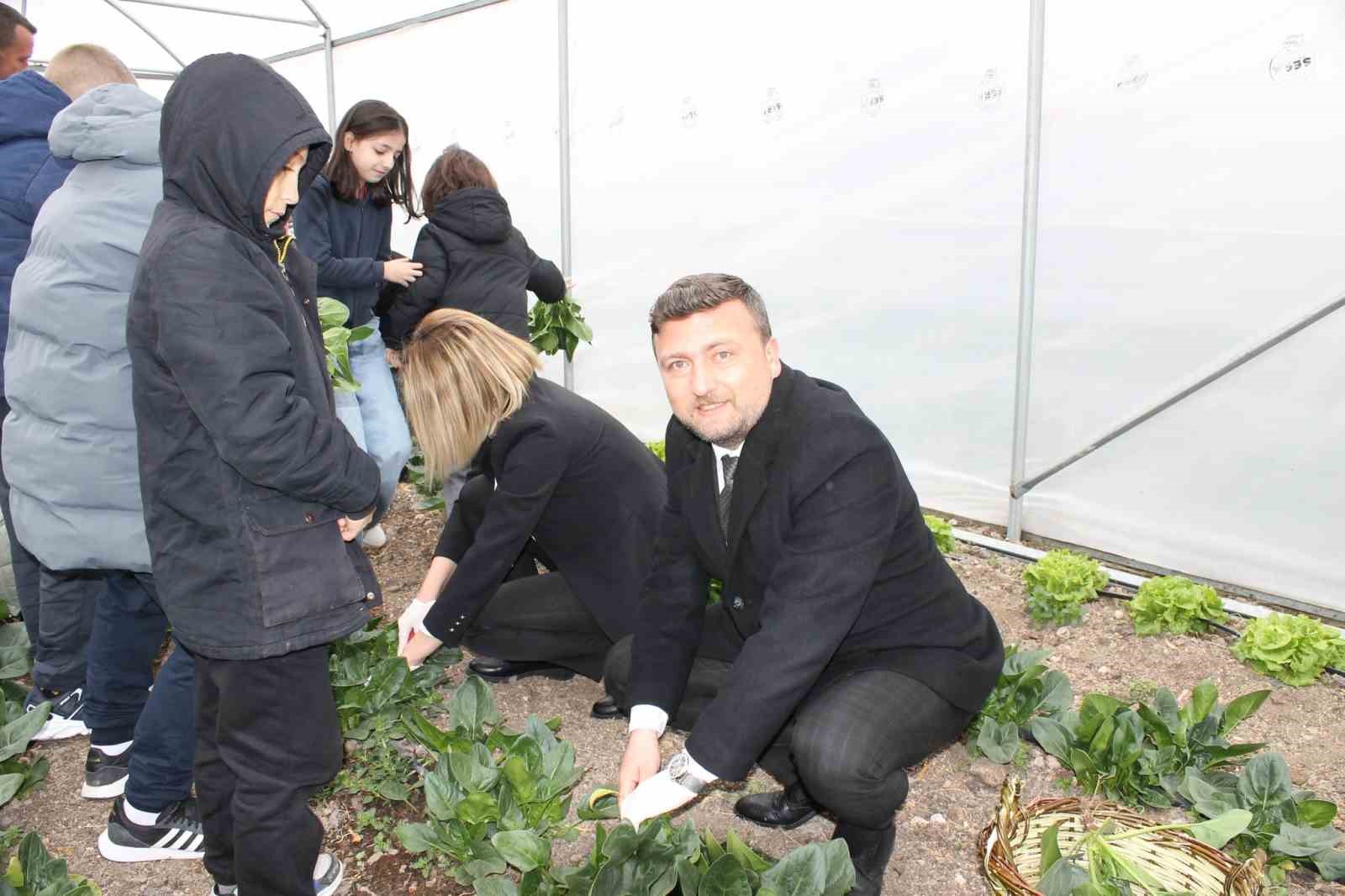 Altıntaş Zafer İlkokulu Tarım Atölyesinin ilk hasadı ıspanak oldu
