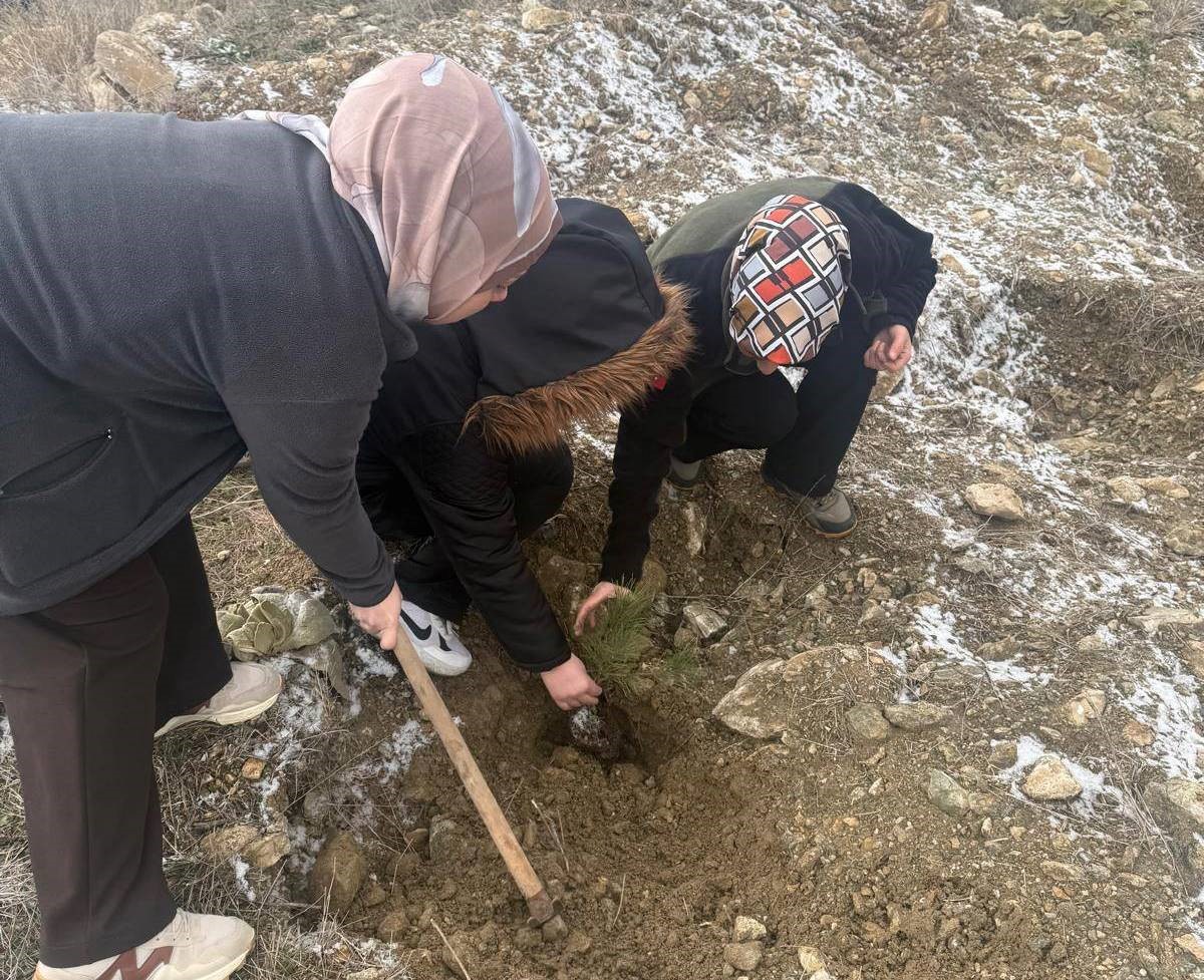 Altıntaş’ta lise öğrencileri fidan dikti
