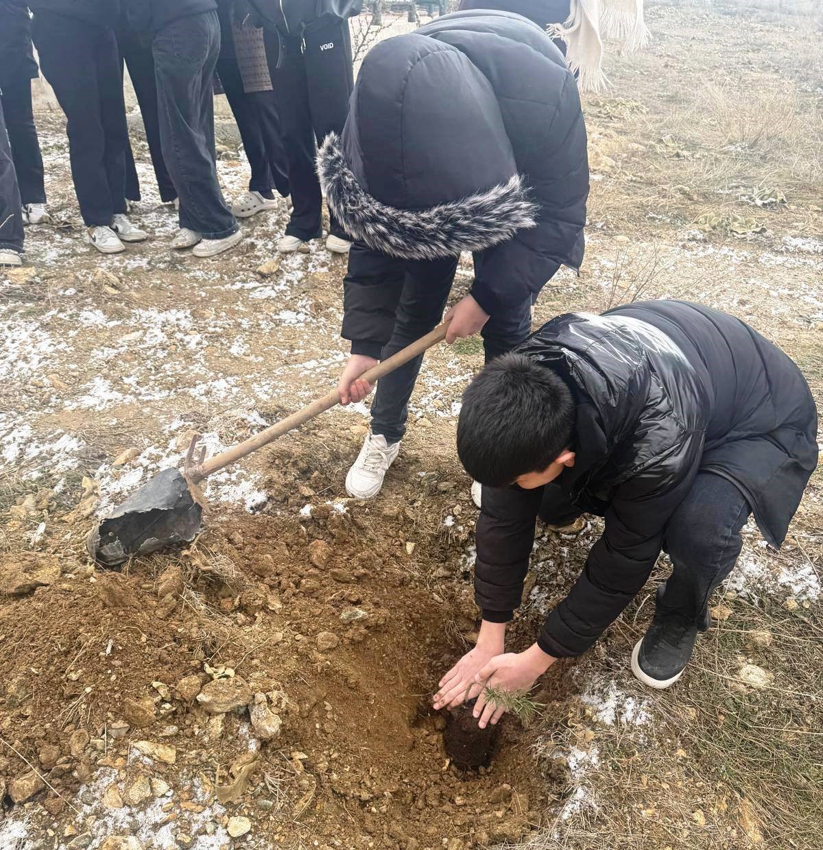 Altıntaş’ta lise öğrencileri fidan dikti
