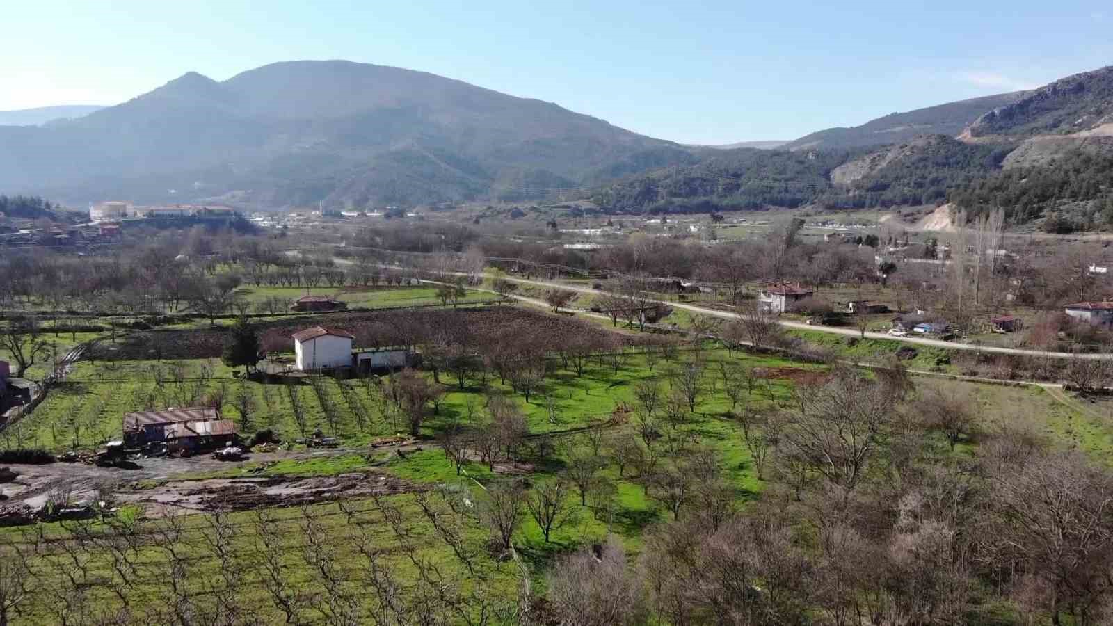 Amasya’da badem ağaçları çiçek açtı
