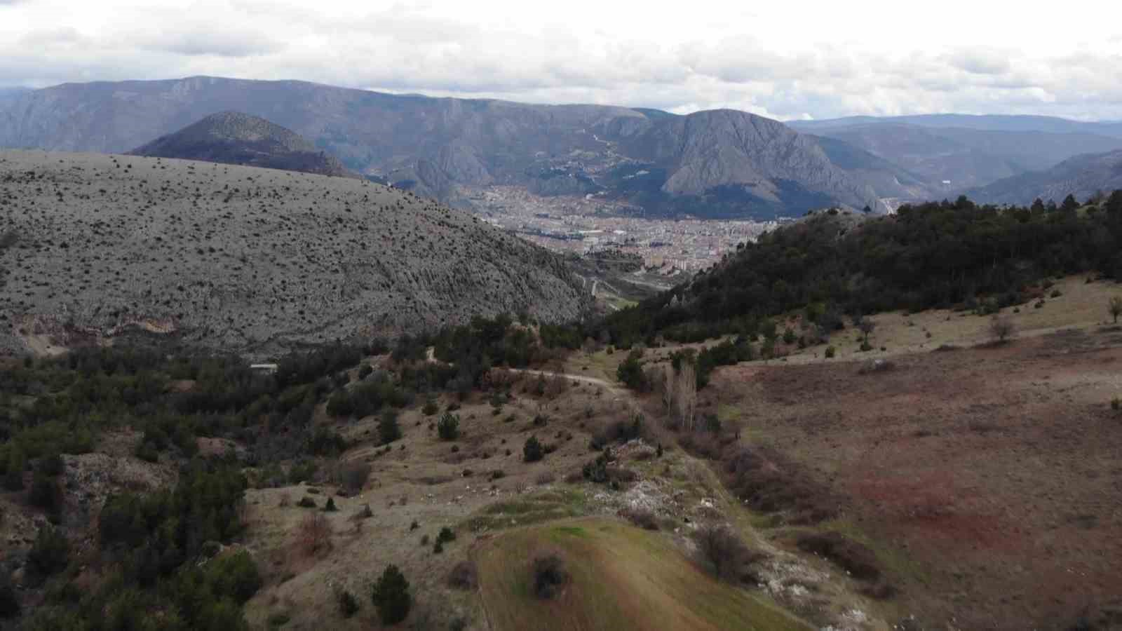Amasya’da orman çöplüğe dönüştü: "Bu toprakları piyangodan kazanmadık"
