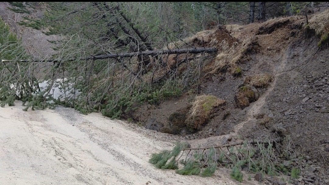 Amasya’da ormanlık alanda heyelan: Ağaçlar devrildi
