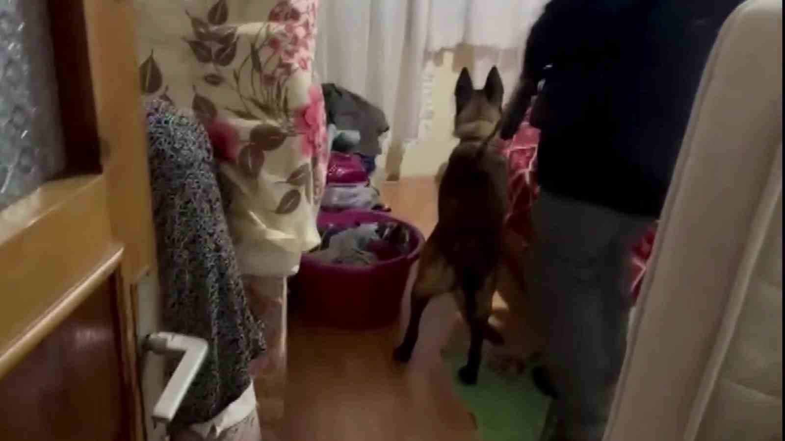 Amasya’da uyuşturucu operasyonu: 11 tutuklama
