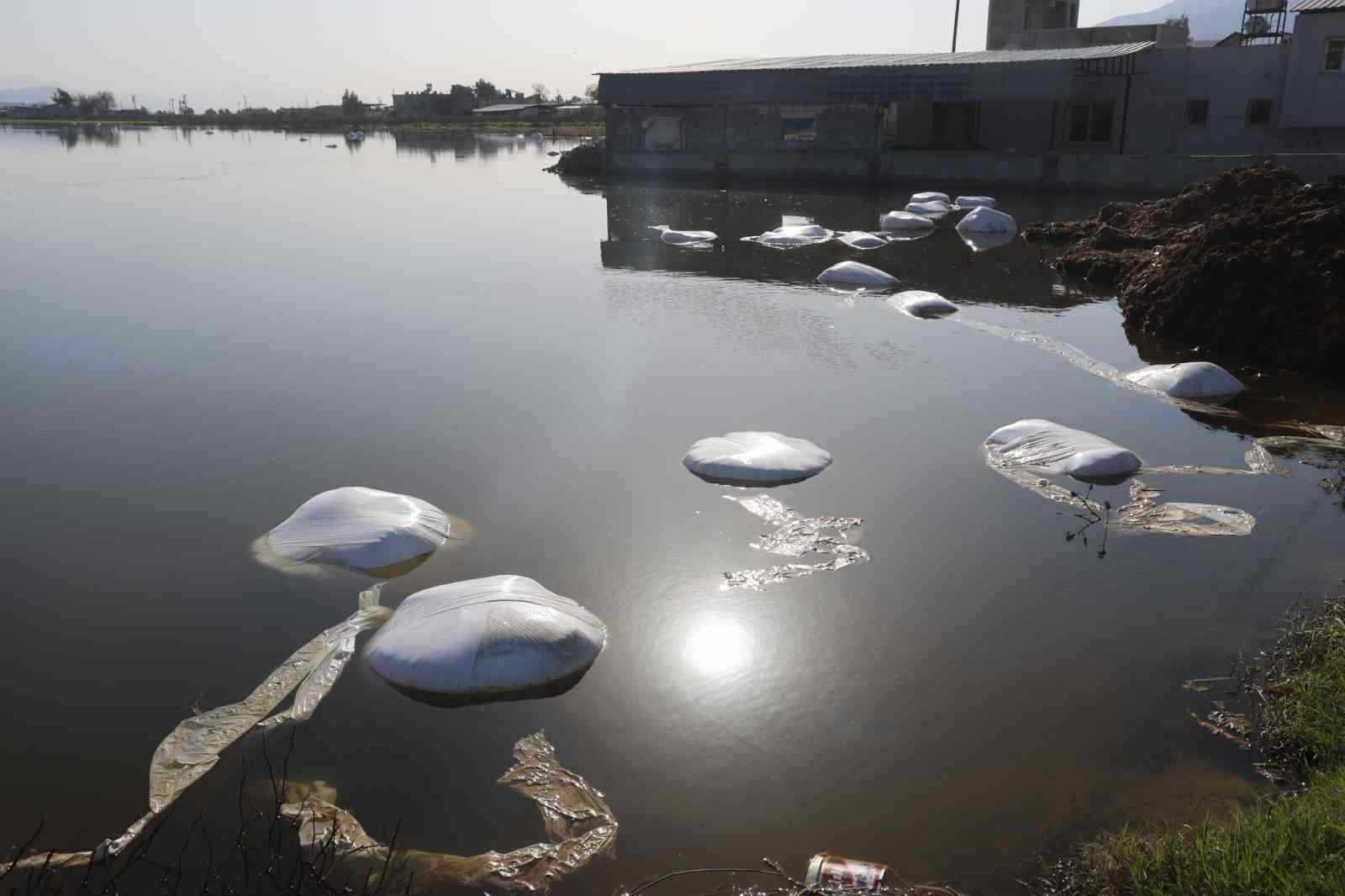 Amik Ovası’nda şiddetli yağışla birlikte tarım arazileri ve evler günlerdir sular altında
