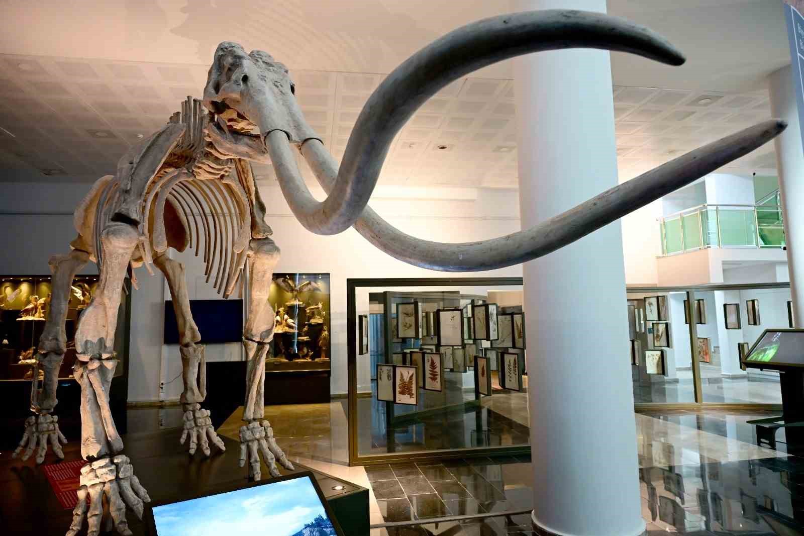 Anadolu’nun genetik hafızası bu müzede korunuyor
Anadolu’nun genetik hafızası bu müzede korunuyor