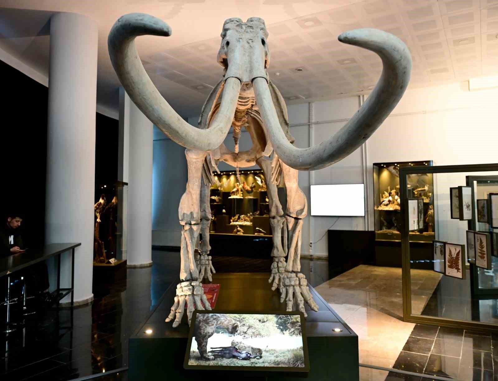 Anadolu’nun genetik hafızası bu müzede korunuyor
Anadolu’nun genetik hafızası bu müzede korunuyor