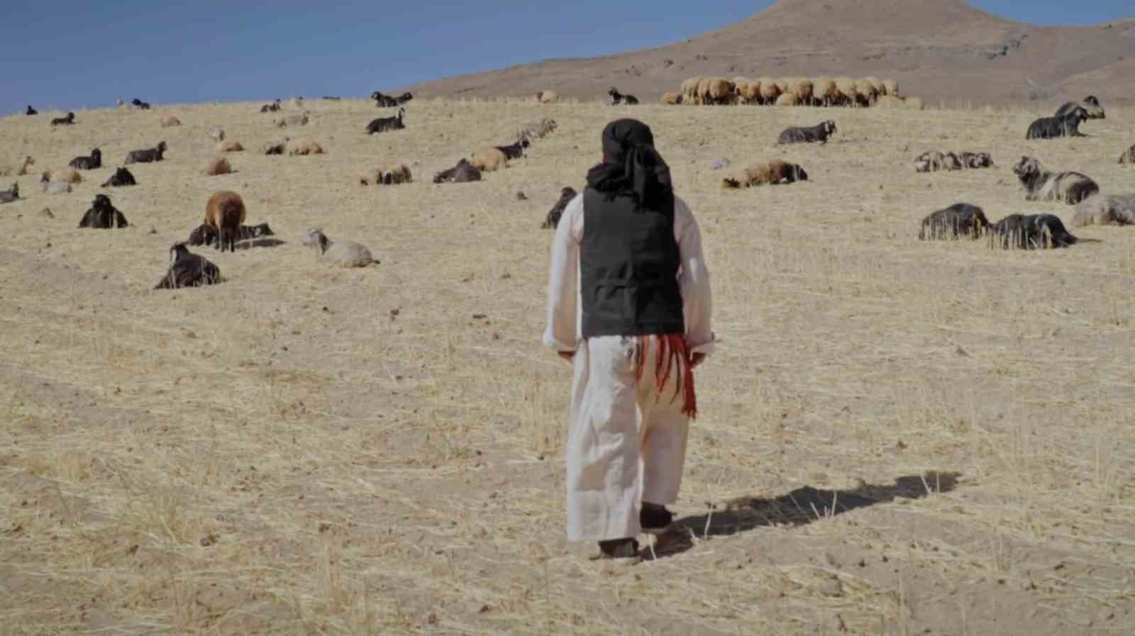 Anadolu’nun kadim hafızası dünya sinemasıyla buluşuyor
Anadolu’nun kadim hafızası dünya sinemasıyla buluşuyor