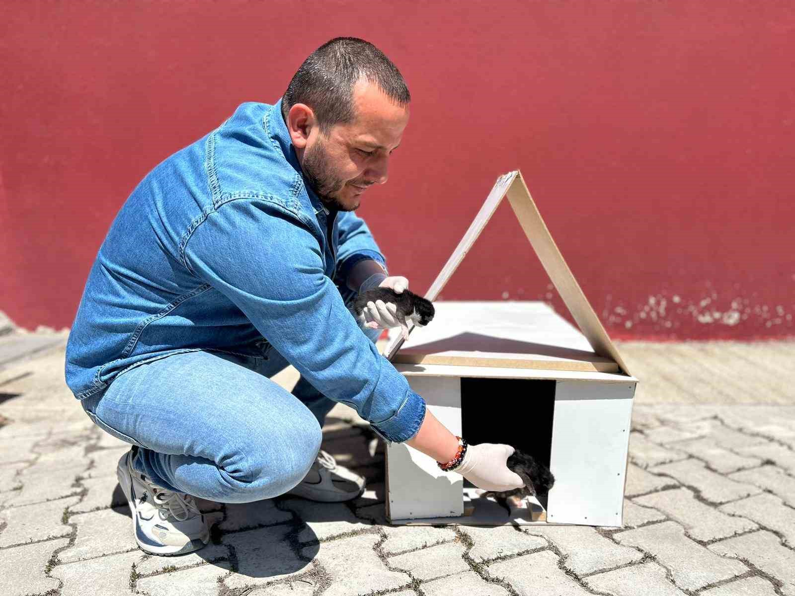 Anaokulunun misafiri ‘Fındık’ 6 yavru dünyaya getirdi
