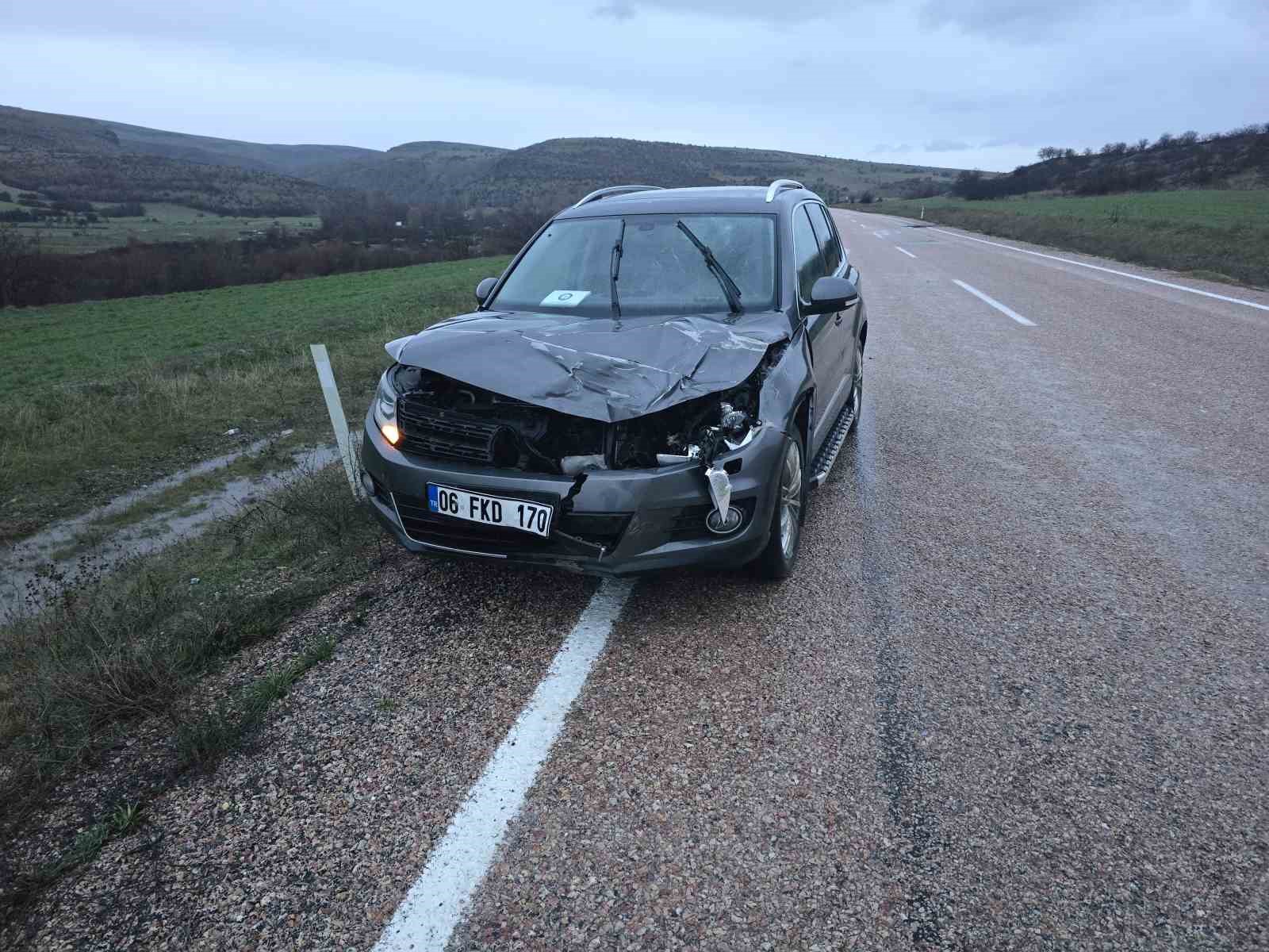 Ankara’da aracın çarptığı geyik telef oldu
