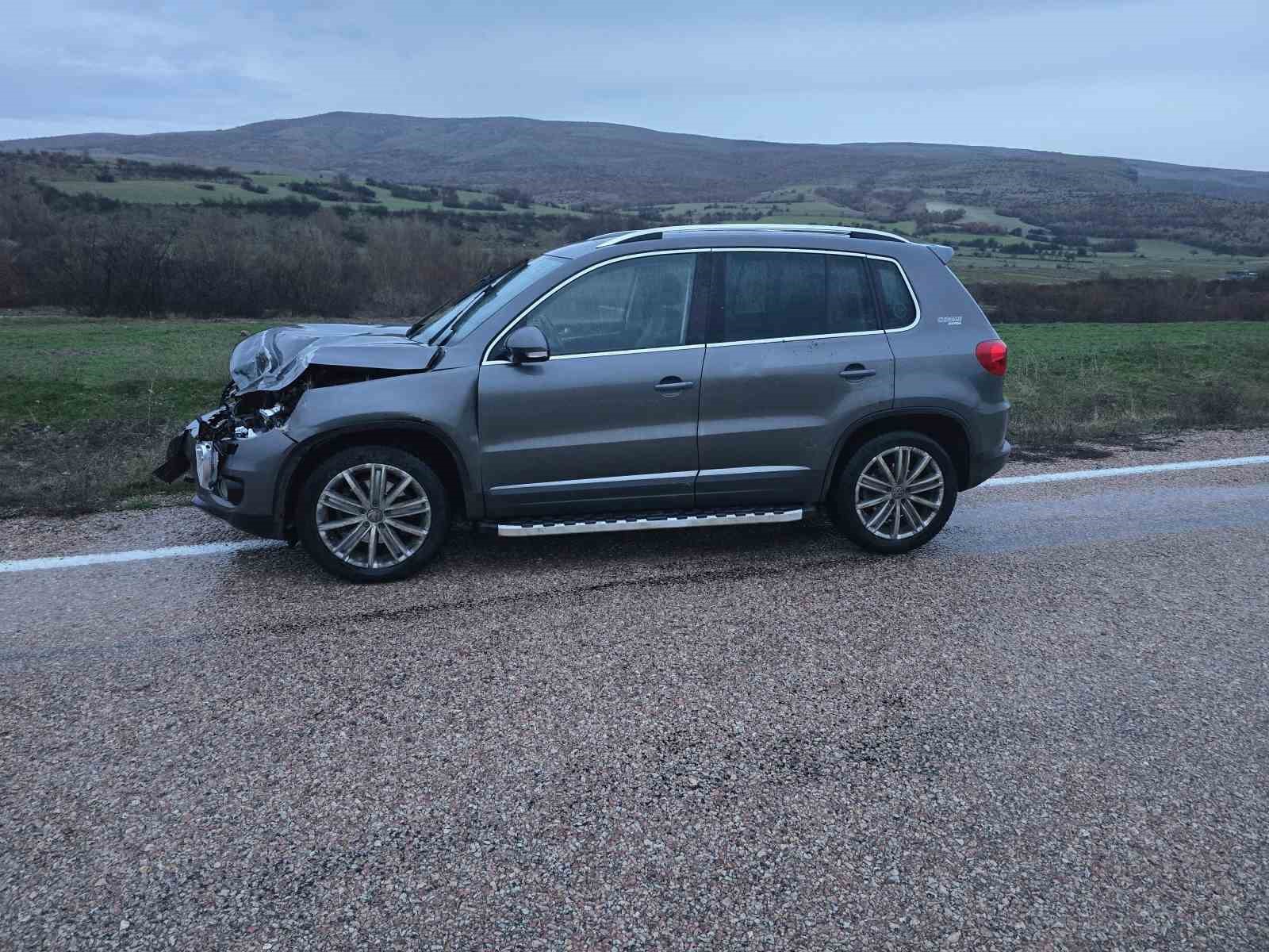 Ankara’da aracın çarptığı geyik telef oldu
