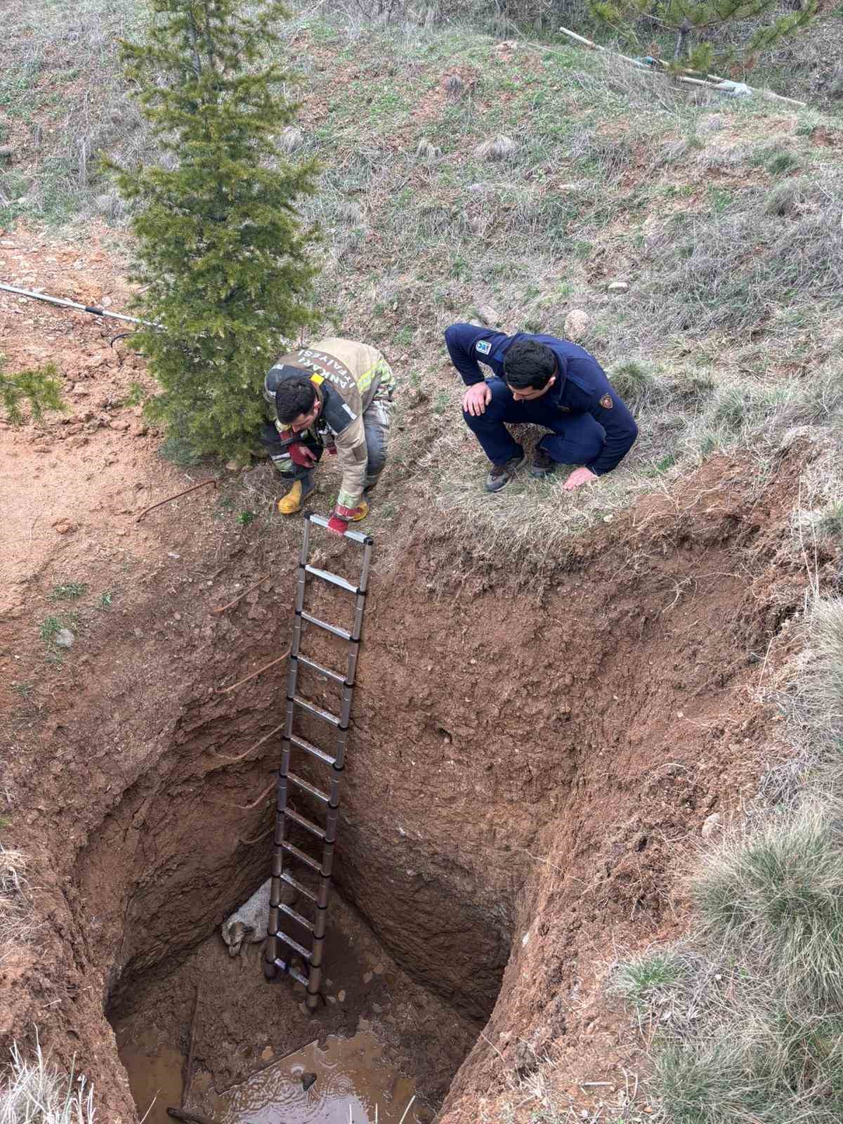 Ankara’da kaçak kazının yapıldığı çukura düşen köpek kurtarıldı
