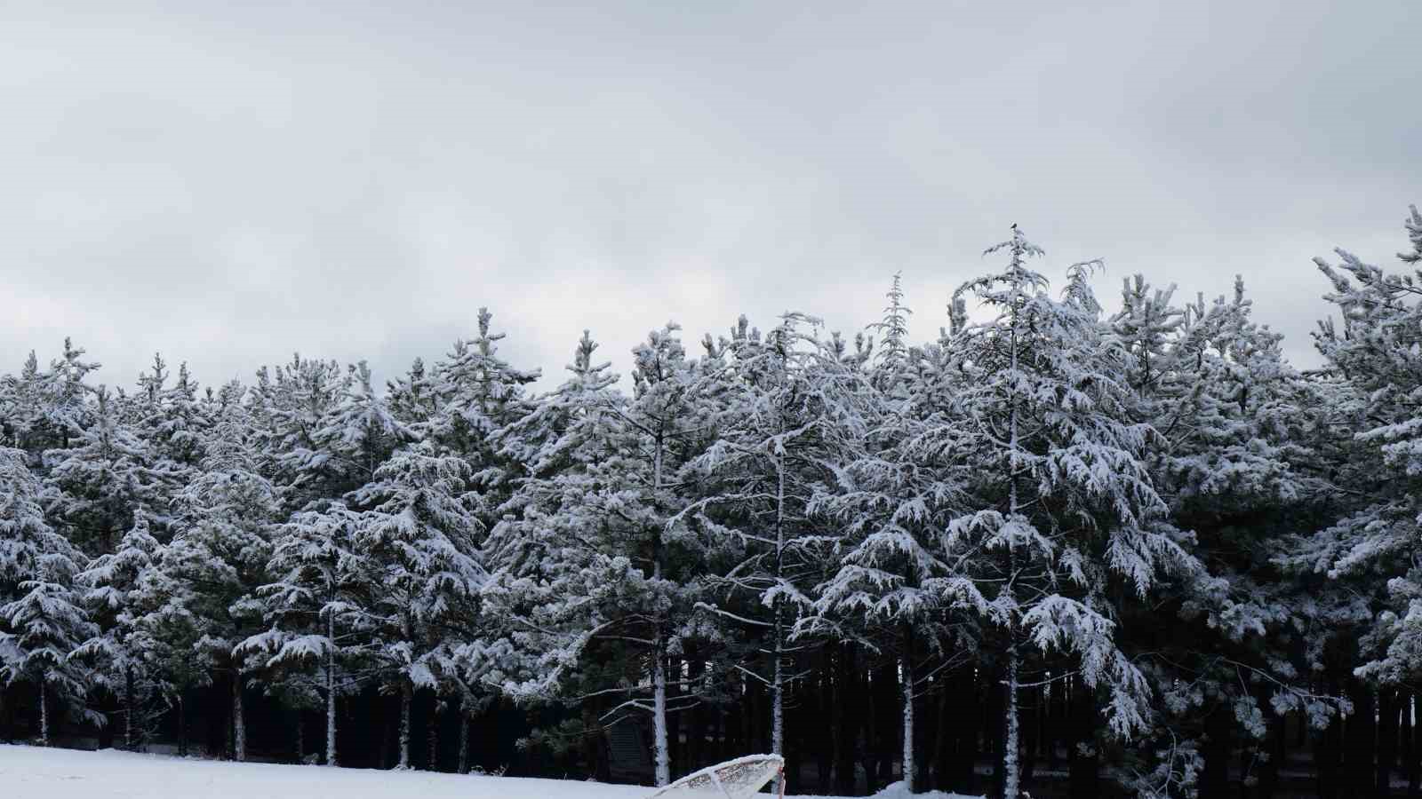 Ankara’da kar yağışı

