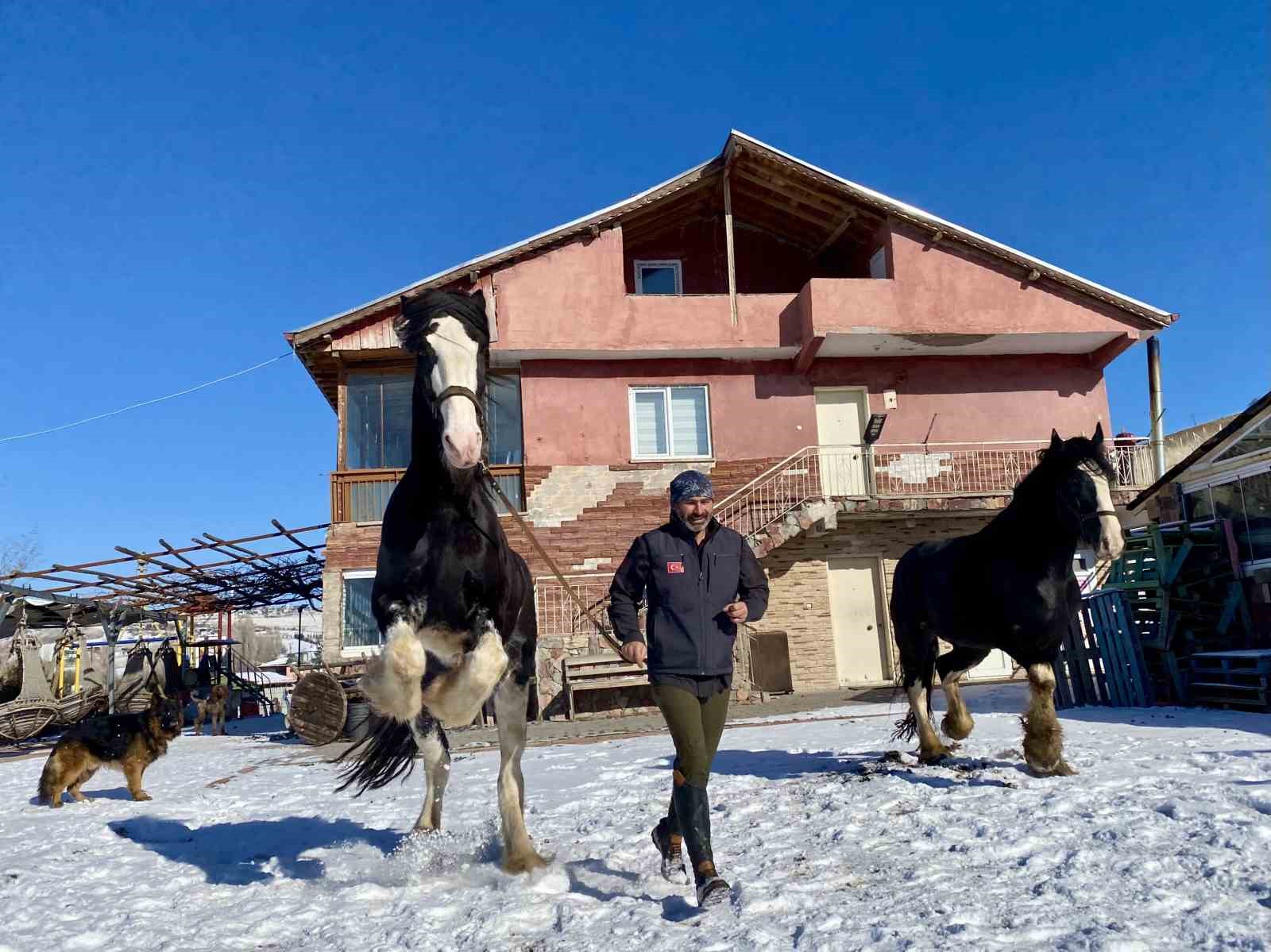 Ankara’da sıra dışı yaşam: Onlarca hayvanla ortak hayat kurdu
Ankara’da sıra dışı yaşam: Onlarca hayvanla ortak hayat kurdu